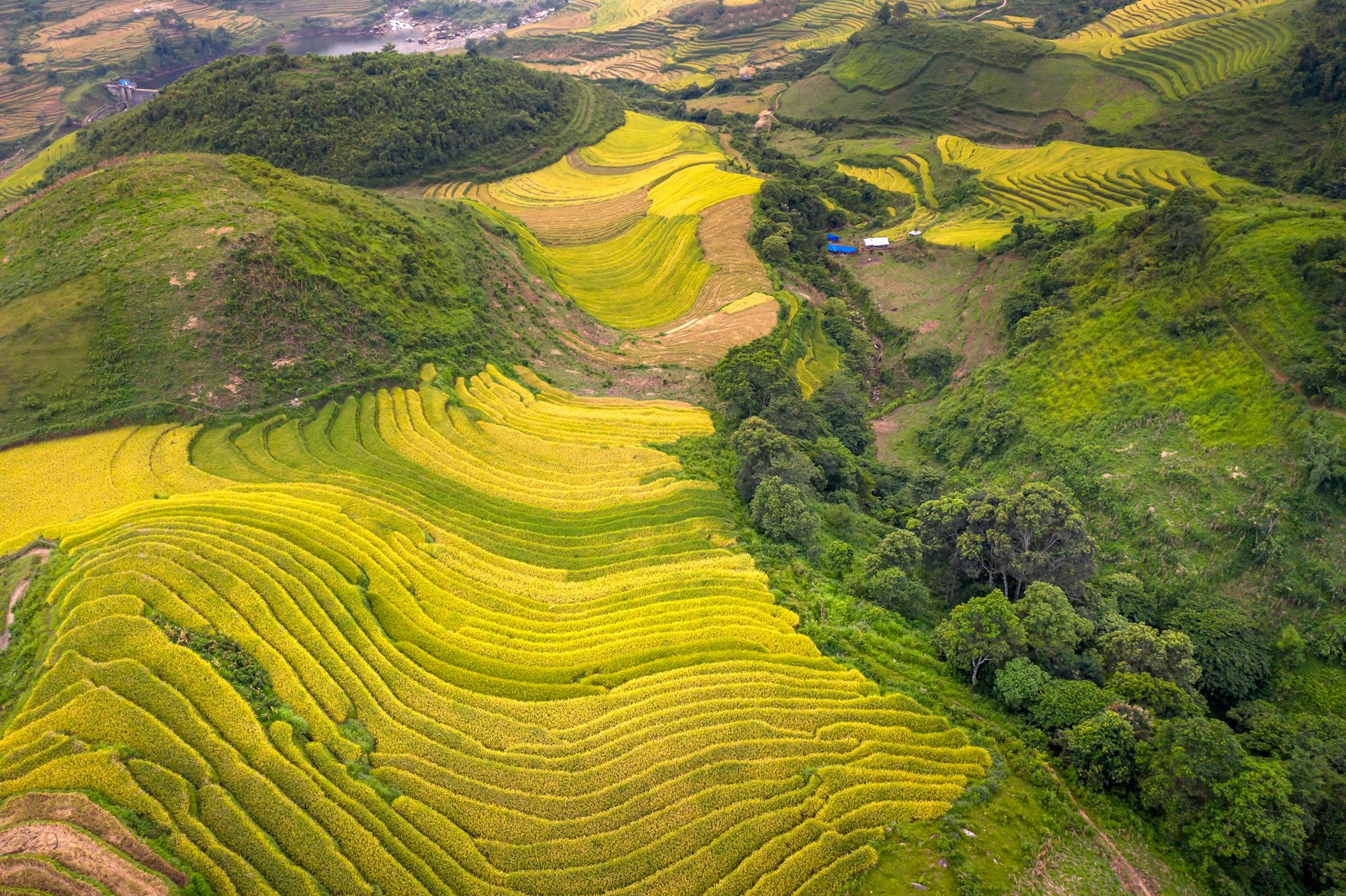 Capture the vibrant beauty of Vietnam with a visa for Danish travelers